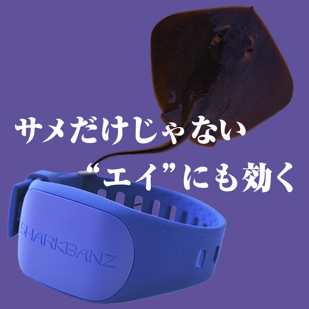 ONE WORLD LTD. SHARK BANZ SLATE-AZURE｜シャークバンズ